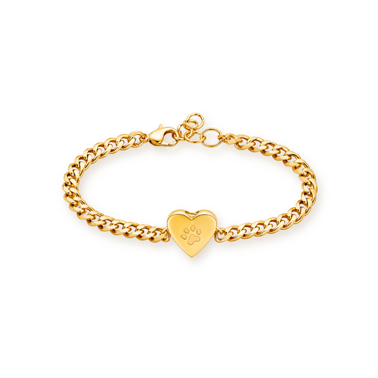 Paw Print Heart Urn Bracelet — Stainless Steel Pet Cremation Keepsake with Filling Kit
