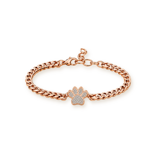 Pavé Paw Urn Bracelet — Rose Gold Curb Chain