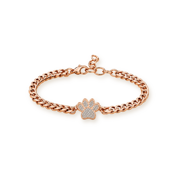 Pavé Paw Urn Bracelet — Rose Gold Curb Chain